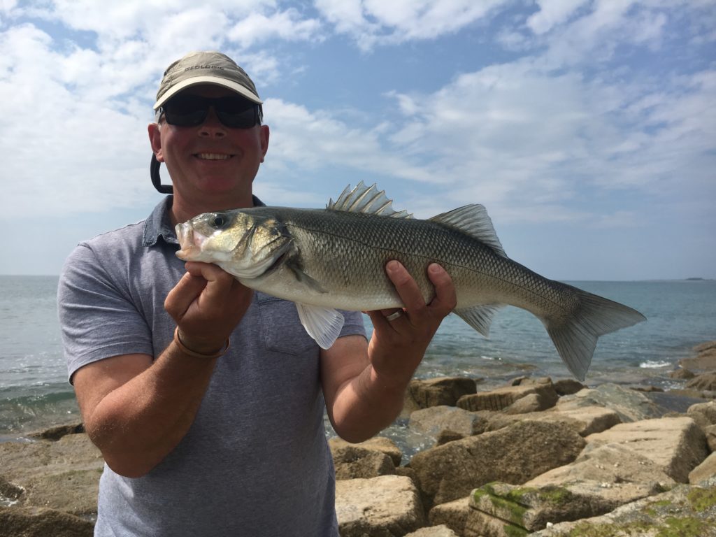 Gallery Guided bass fishing in West Wales