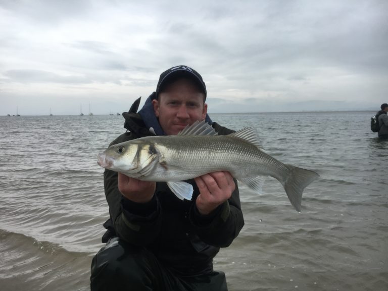 Location Guided bass fishing in West Wales